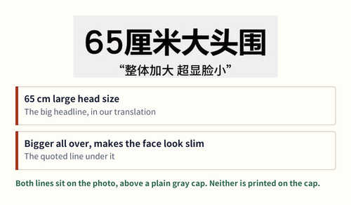 A catalog photo of a gray cap with its Chinese caption boxed and translated, and a note that the cap itself is plain